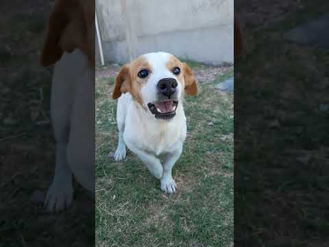 I'd better ask God to take care of me...