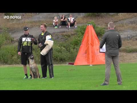 FCI NM IPO 2014 Lars-Christian Aaserød - VThor vom Haus Mecki - C