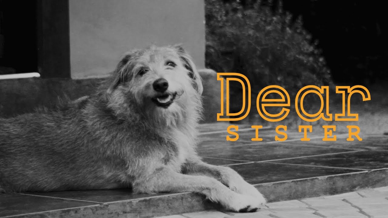 Dear Sister