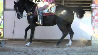 Laberinto - El Machete - www.DavidySusCaballos.com - El Bandido