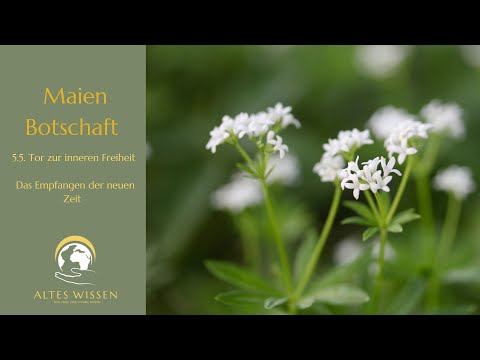 Maienbotschaft - oder das Empfangen der neuen Zeit