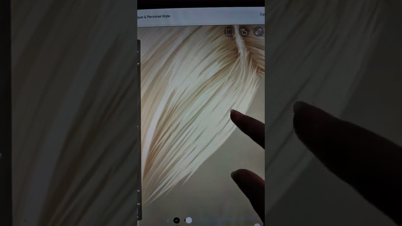 Hair Vector Illustration - Blackpink Rosé