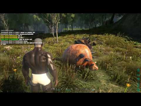 Cpu Or Gpu Upgrade Ark Survival Evolved 総合掲示板 Cpu Or Gpu Upgrade Ark Survival Evolved 総合掲示板