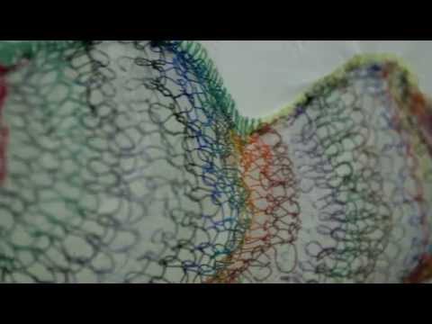 Visualizing Science Through Art with the Penn Network Visualization Program