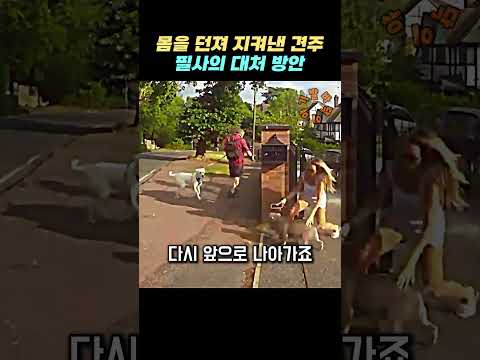 몸을 던져 지켜낸 견주 필사의 대처 방안