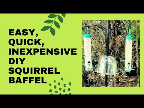Simple, quick, inexpensive way to make a Squirrel Baffle for $2.50
