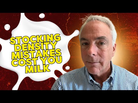 How Smart Management Improves Rumen Health - Dr. Rick Grant