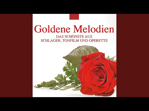 Hallo Janine!: Auf dem Dach Der Welt