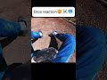 How I Broke Both My Wrists Mtb Fail Shorts