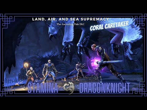 Coral Aerie Trifecta - Stamina Dragonknight (Coral Caretaker) | Ascending Tide DLC | ESO