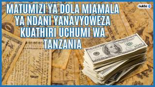 Matumizi ya Dola miamala ya ndani yanavyoweza kuathiri uchumi wa Tanzania