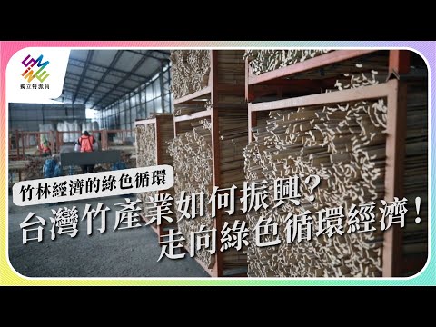 竹子的特性