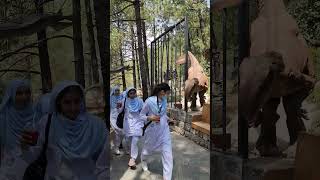 Dinovalley #Pakistan’s 1st Ever Dinosaur Theme Park #trending #pakistan #monal  #trendingshorts