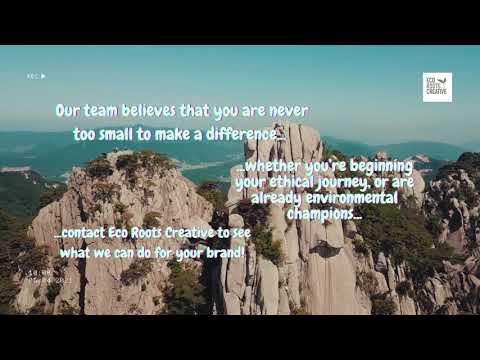 INTRODUCING OUR ENVIRONMENTAL DIGITAL MARKETING AGENCY | Eco Roots Creative