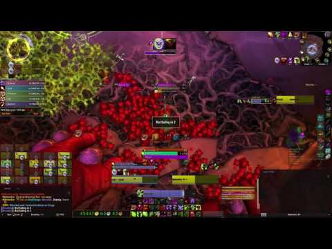 US - Misha / Rexxar H - Eminent Nythendra Kill Warlock POV