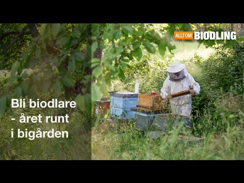 Bli biodlare - Året runt i bigården