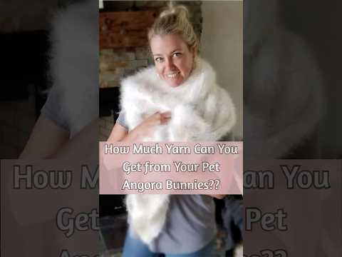 How Much Yarn Can You Really Get from Your Pet Angora Bunny?🐰✨❤️#yarnaddict #farmtofashion #angora