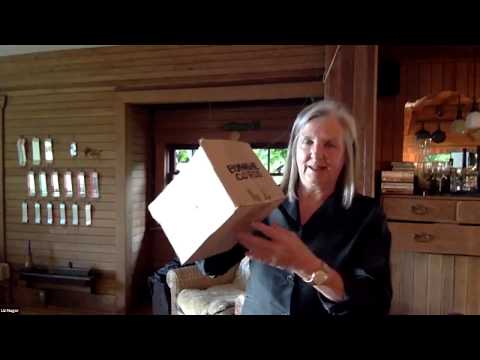 Liz Magor TNT at the Audain Art Museum