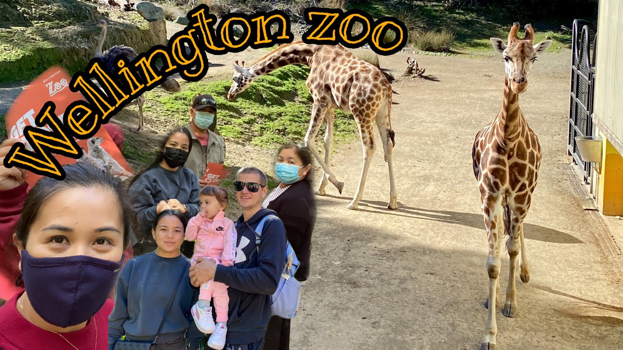 Join a family on a visit to Wellington Zoo.