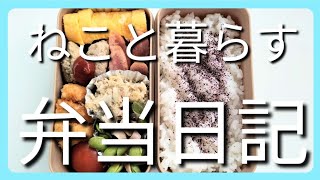 ねこと暮らす前日作り置き弁当日記です