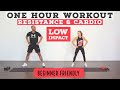 1 HOUR TOTAL Body Resistance And Cardio Workout Low Impact Standing No Equipment Options