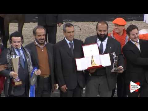 3rd place-N.26 OMEL AISHA ALJASSIMYA - Paris 2015 - Junior Females Championship (Class CM8)