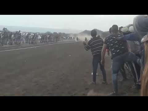Carrera de cirilo .coco luz bucefalo paisanita yviejo lobo