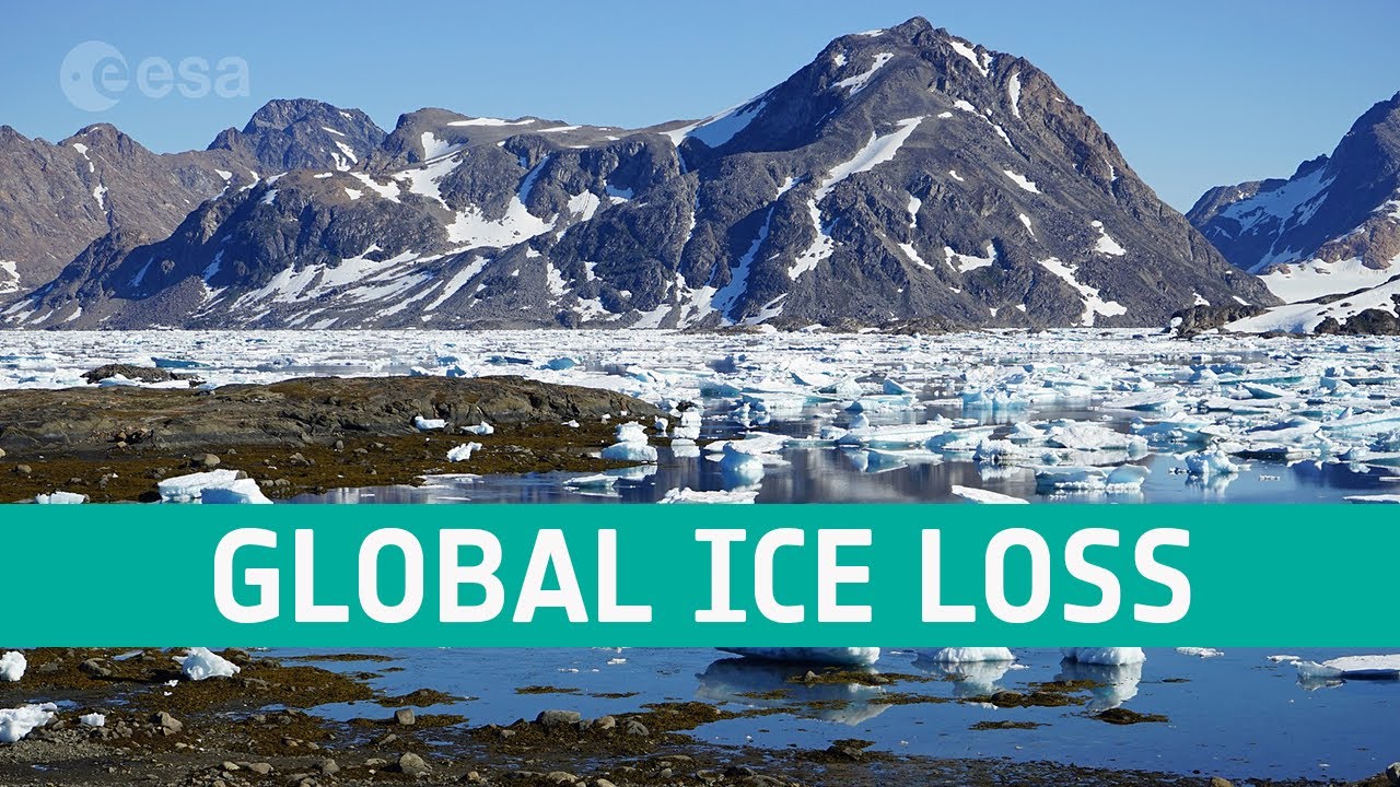 youtube video id=QZ_CA0YAkUs