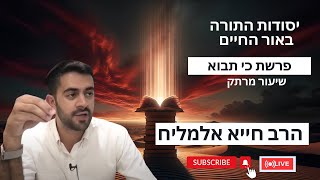 הרב חייא אלמליח פרשת השבוע כי תבוא 🔥  שיעור מרתק על האור החיים | 🔴 שידור חי (הרב מיכאל לסרי) - התמונה מוצגת ישירות מתוך אתר האינטרנט יוטיוב. זכויות היוצרים בתמונה שייכות ליוצרה. קישור קרדיט למקור התוכן נמצא בתוך דף הסרטון