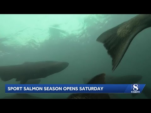 Santa Cruz Harbor prepares for sport salmon fishing season amid storm warnings