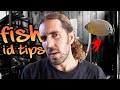 FISH IDENTIFICATION For Scuba Diving Part 1