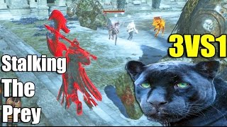 Dark Souls 3: PvP - STALKING A GANK AROUND THE WORLD