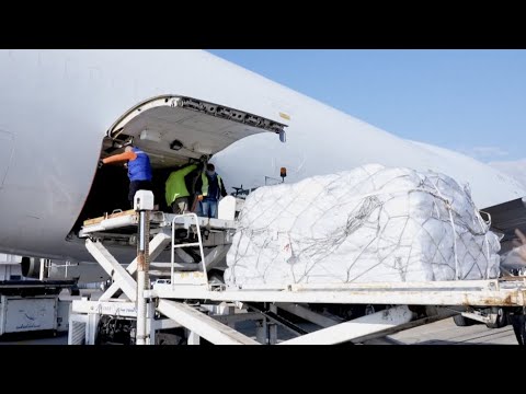 More humanitarian supplies from Chinese govt arrive in quake-hit Syria