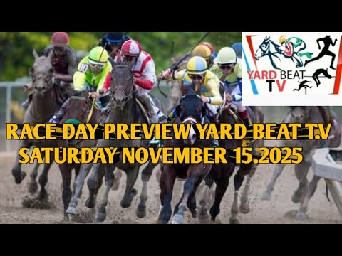 RACE DAY PREVIEW SATURDAY  NOVEMBER 15.2025.| YARD BEAT T.V 