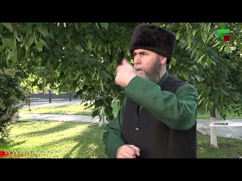 Салах-Хаджи Межиев рассказал об участии в международной конференции в Луганске