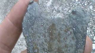 preview picture of video 'New Meteorite Find near West, Texas'