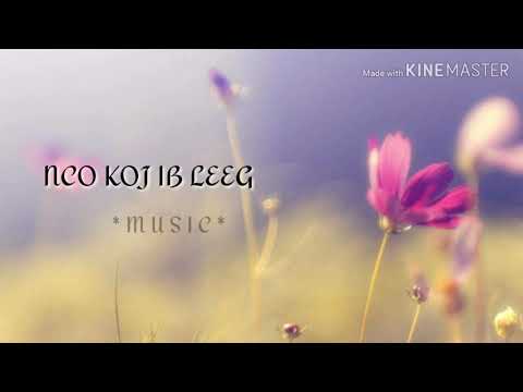 Nco Koj Ib Leeg - Sunshine Vang (lyrics)