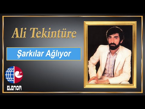 Ali Tekintüre feat - Adnan Tayfun - Düşünürken