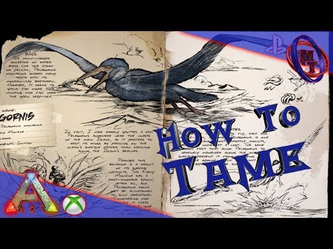 Ark Survival Evolved How To Tame Pelagornis