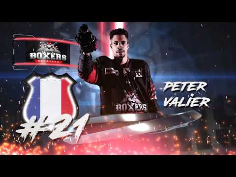 Présentation des Boxers de Bordeaux 2018-2019