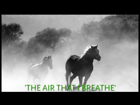THE AIR THAT I BREATHE by The Hollies (with lyrics)