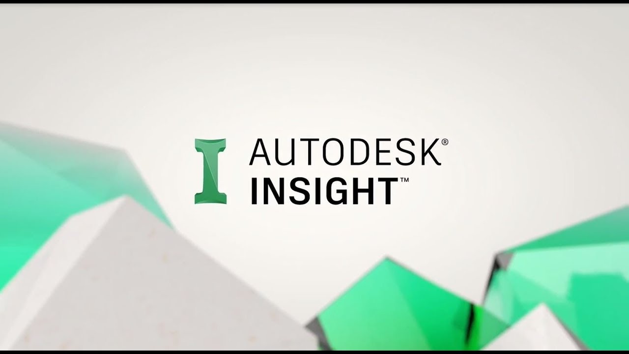 Autodesk Insight Overview