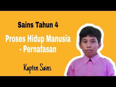 Proses Hidup Manusia Sains Tahun 4