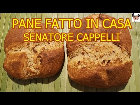 Rune allatto di cura di psoriasi Come che scegliere il sanatorio per cura di psoriasi