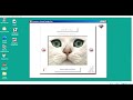 DK Eyewitness Virtual Reality Cat Gameplay Silent Playthrough