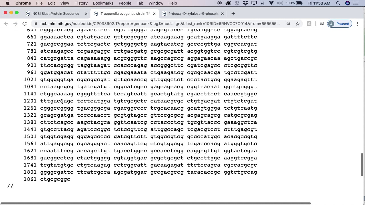 Finding orthologs of a gene using BLAST searches