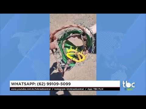 Jornal Brasil Central |24-09-26| Bezerra resgatada em São Luiz dos Montes Belos