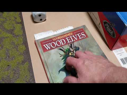 Warhammer Fantasy Battle 8th edition.  1600 points Ogres vs Wood Elves