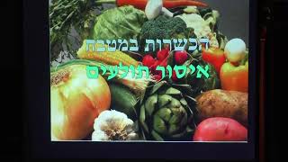 הלכה | הרב דוד טהרני | הלכות נגיעות תולעים | ראו הוזהרתם- שכולו תורה - מצגת - ג' אייר - תשפ"ה