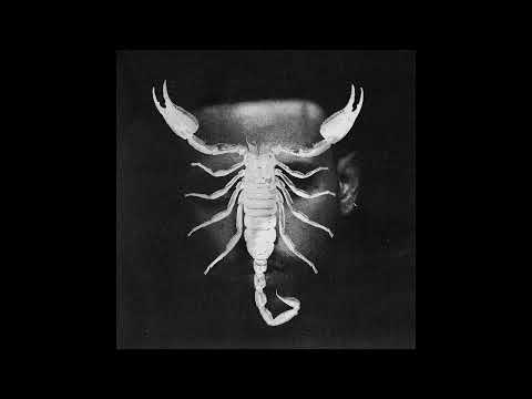 JHAYCO X BAD BUNNY X TAINY HOUSE REGGAETON TYPE BEAT - SCORPIO